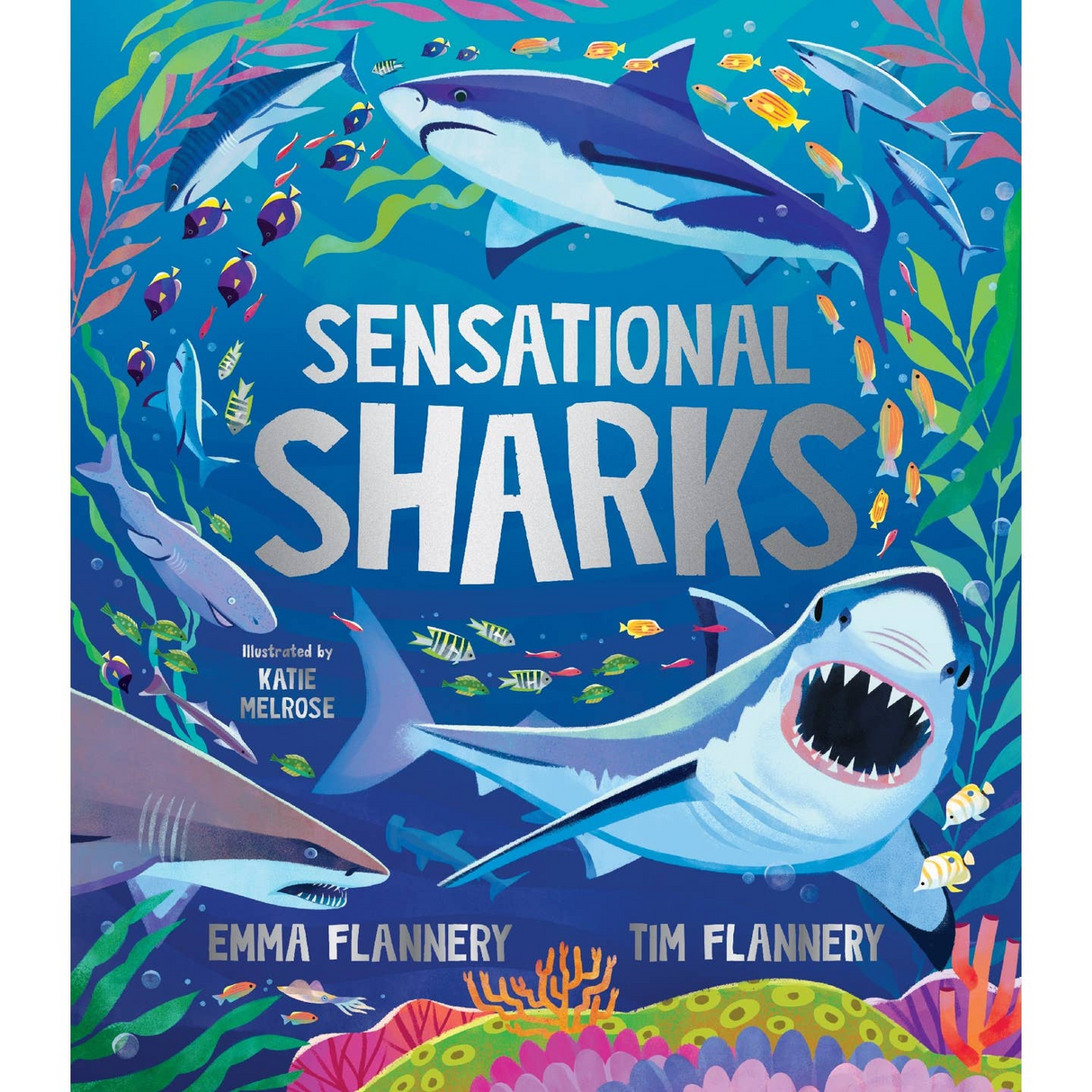 Sensational Sharks