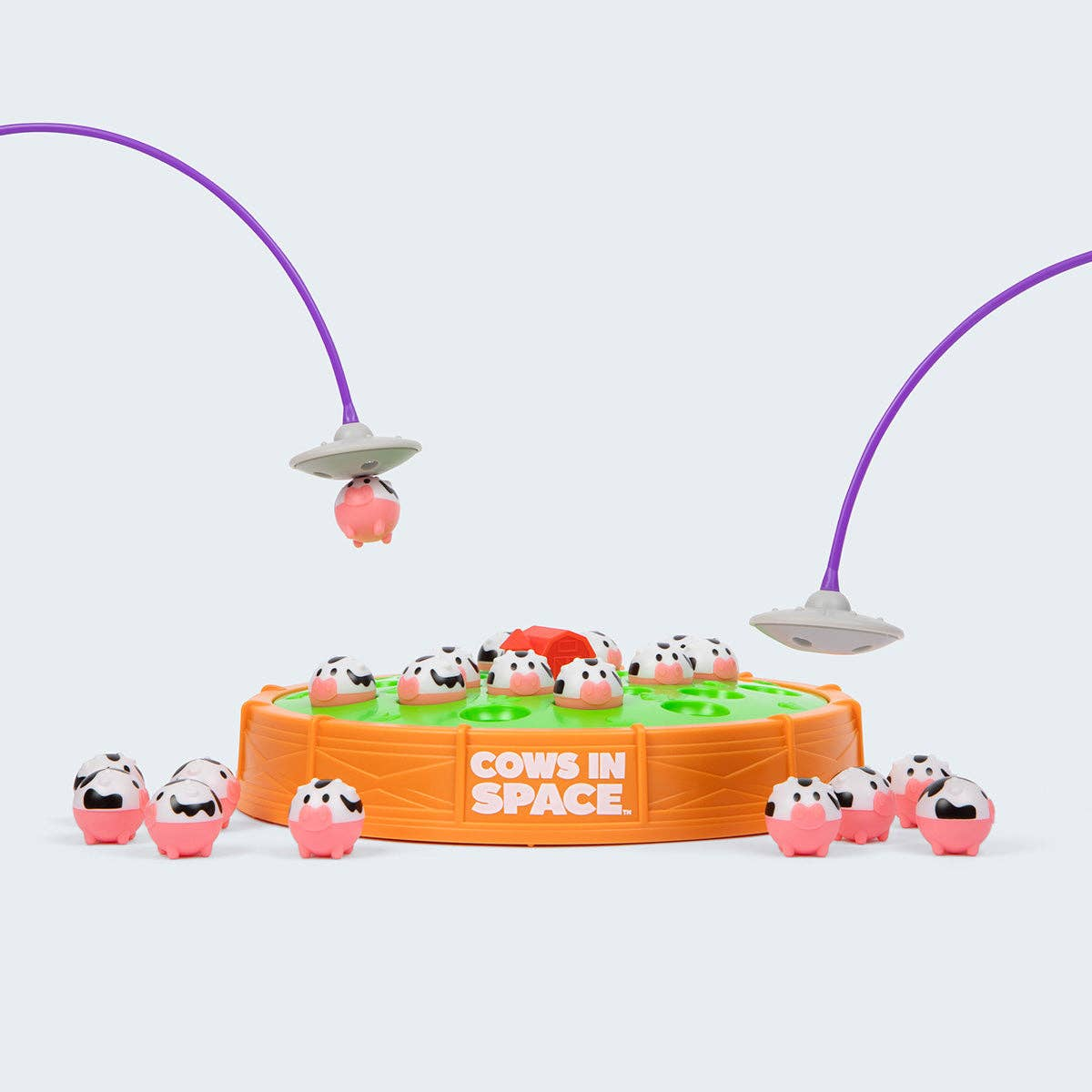 Cows in Space