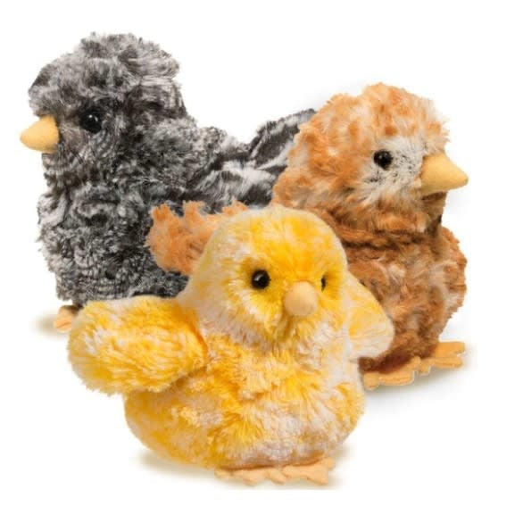 Chick Assortment
