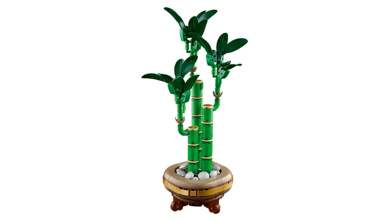 LEGO Icons 10344 Lucky Bamboo