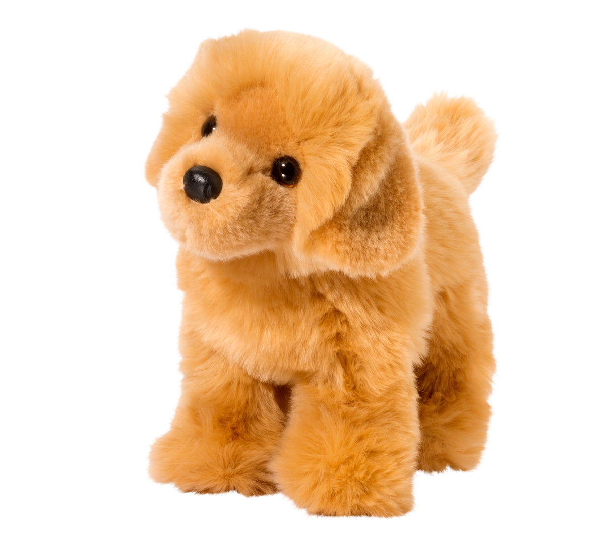 Chap Golden Retriever