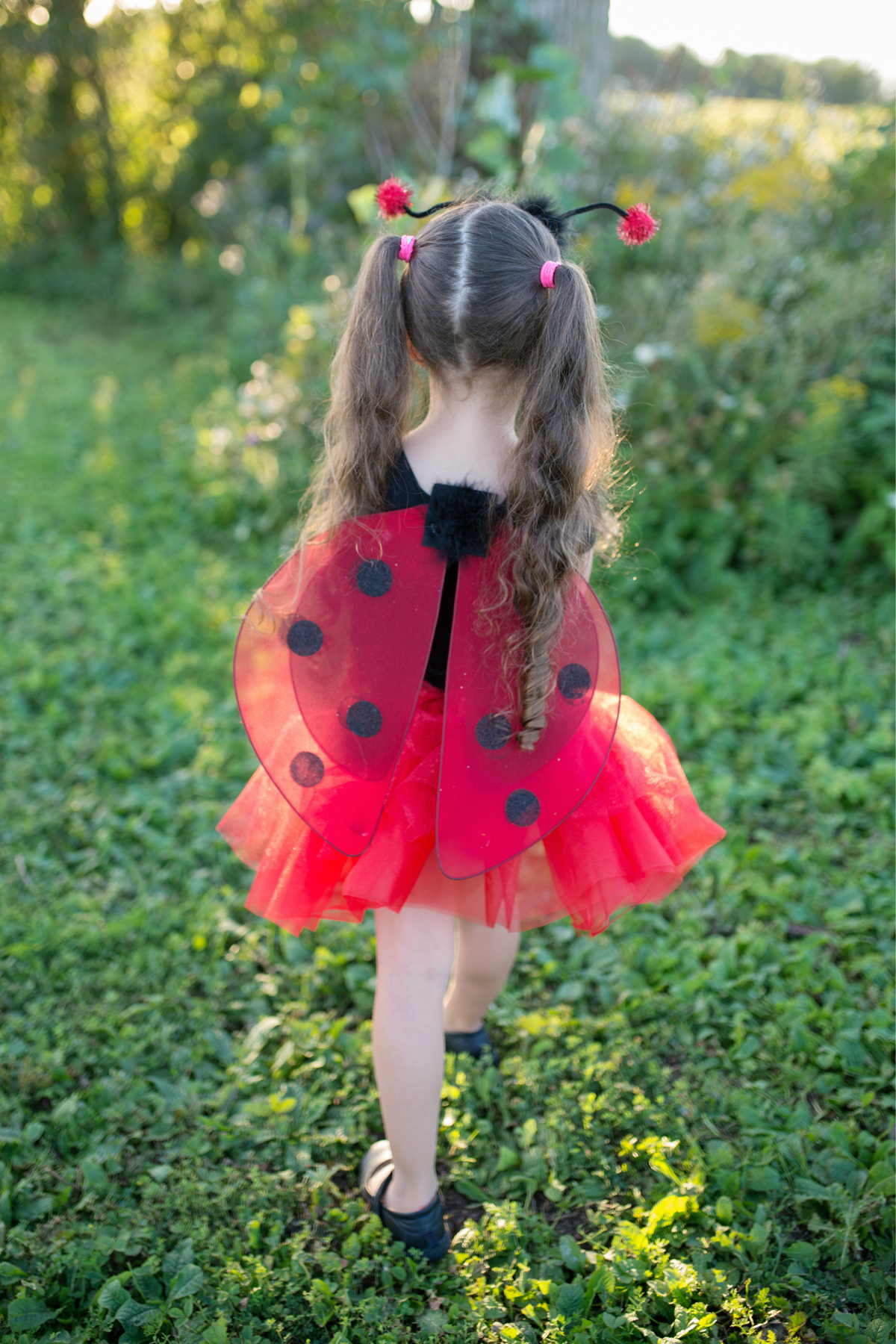 Glitter Ladybug Tutu With Wings & HB 4-6