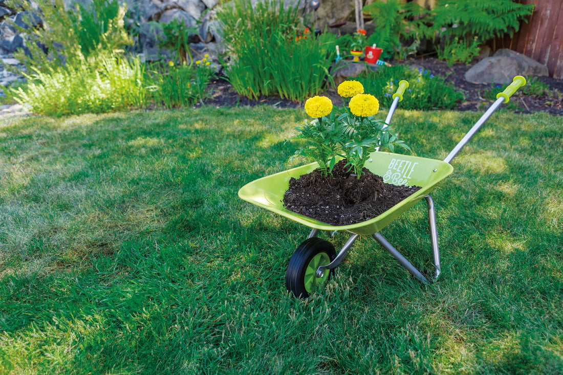 Kids Wheelbarrow