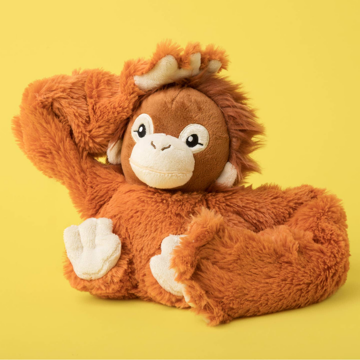 Ollie the Orangutan