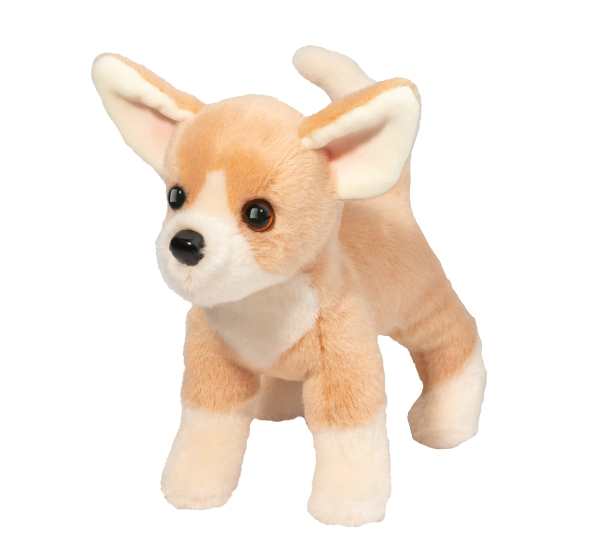 Chichi Chihuahua