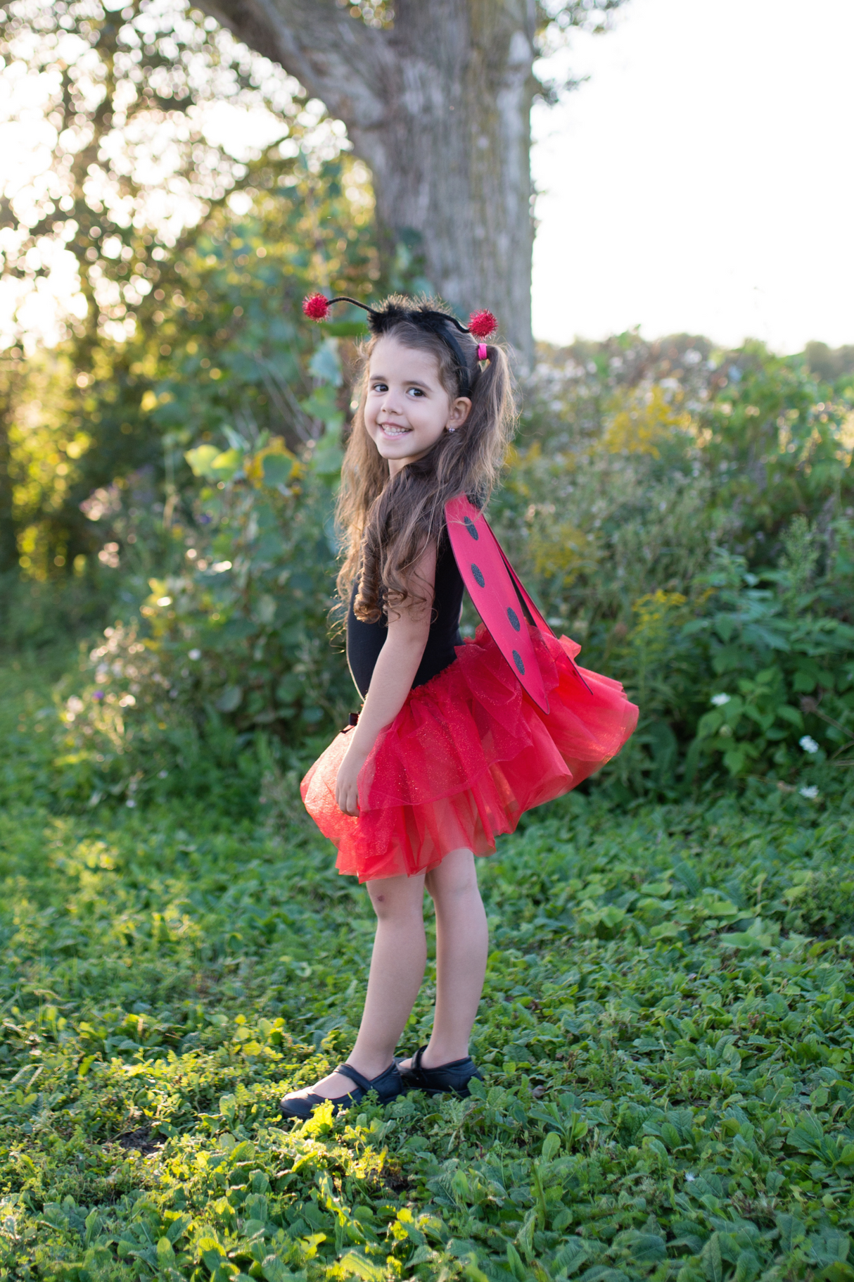 Glitter Ladybug Tutu With Wings & HB 4-6