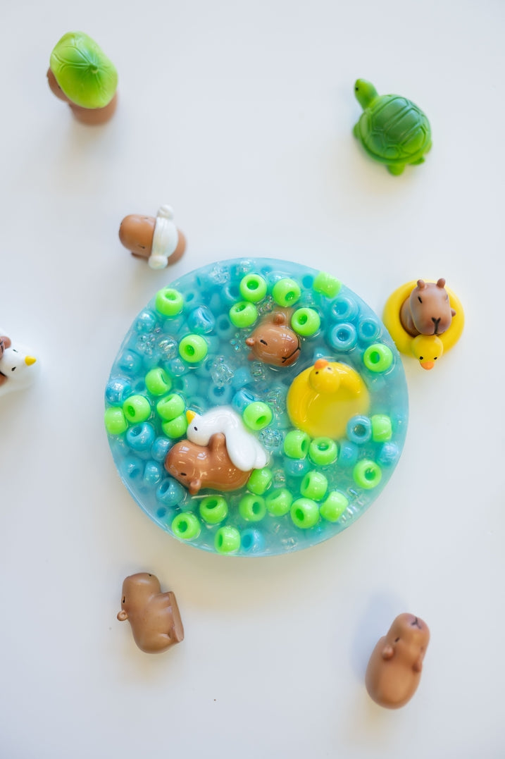 Capybara Pond Picking Pad Fidget Toy