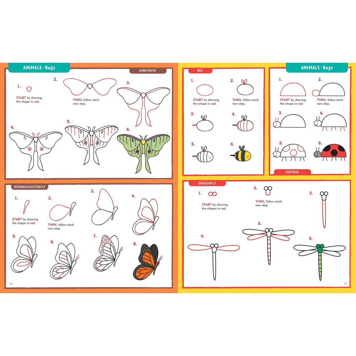Learn To Draw . . . Everything!