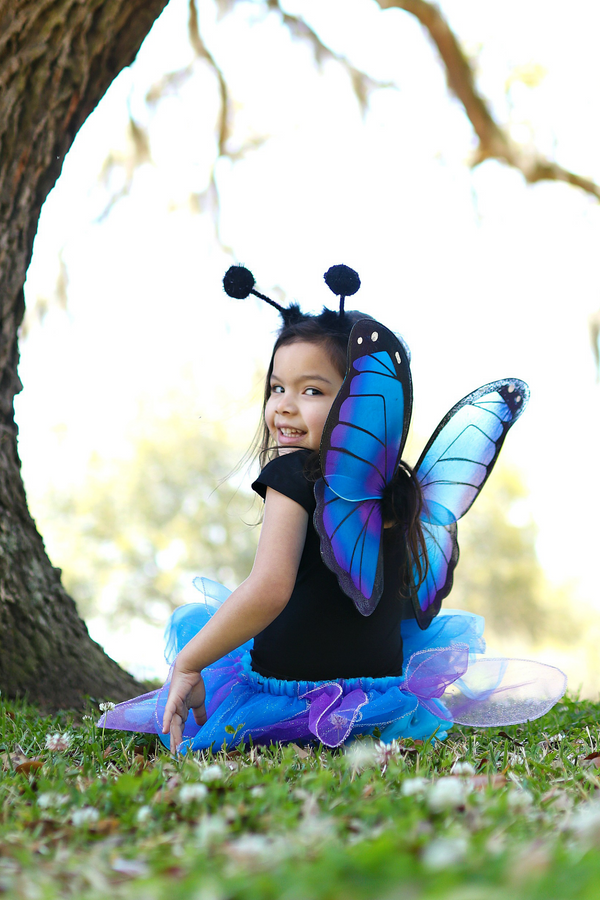 Midnight Butterfly Tutu With Wings & Head Band