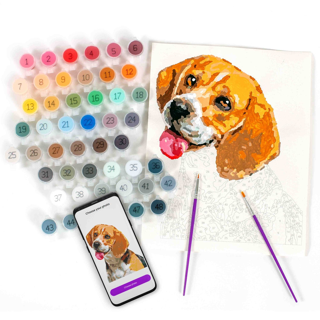 Paint Your Photo Pets Edition