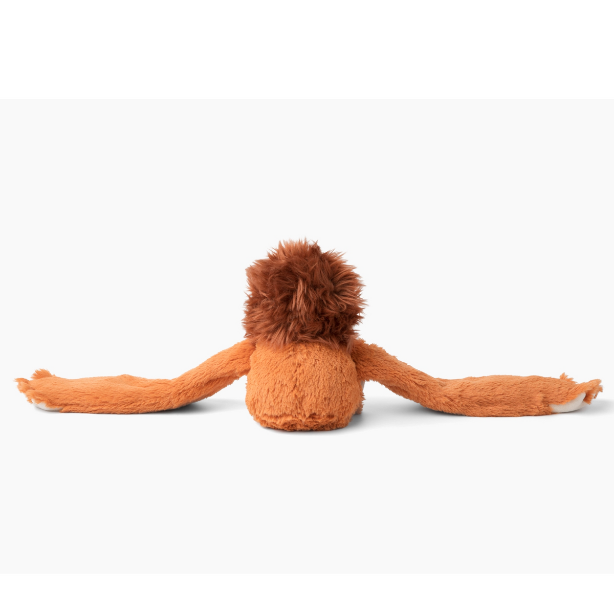 Ollie the Orangutan