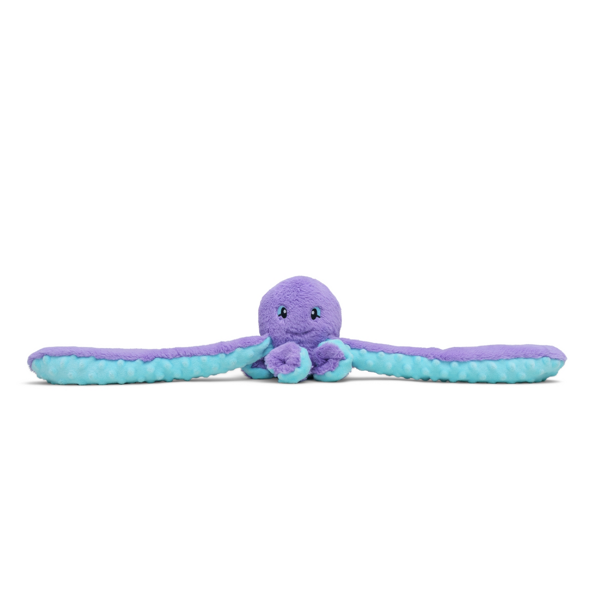Indigo the Octopus