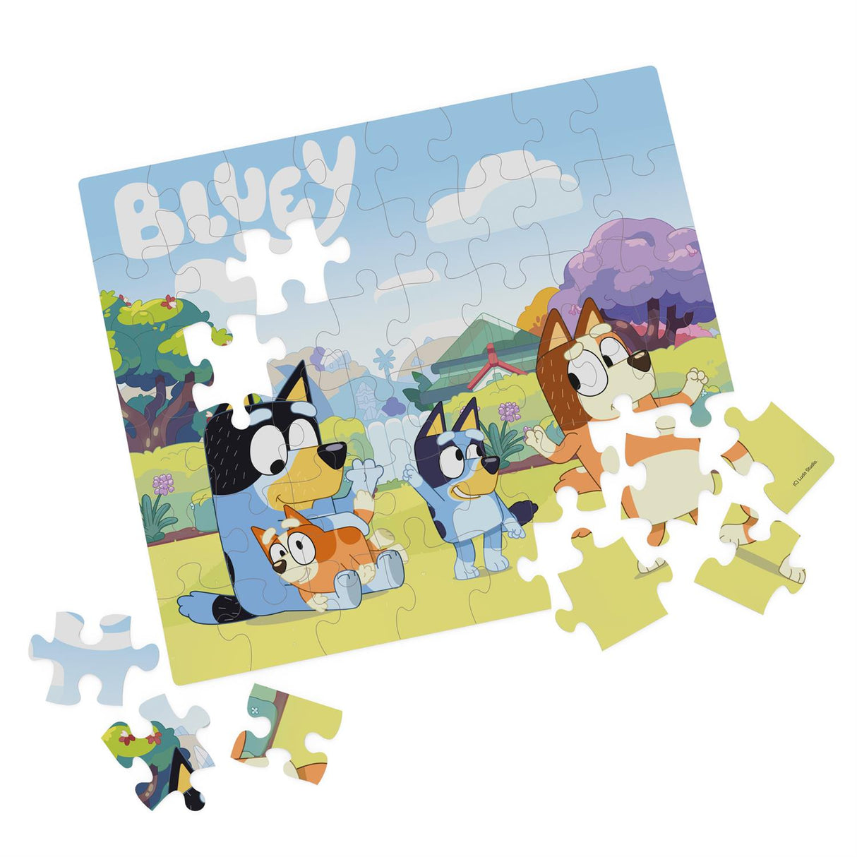 Character Puzzle Assorted