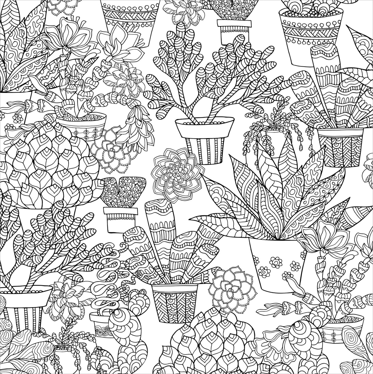Artist's Coloring Books: Succulents