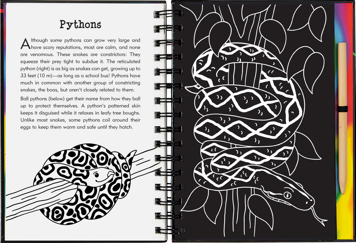 Reptiles & Amphibians Scratch & Sketch