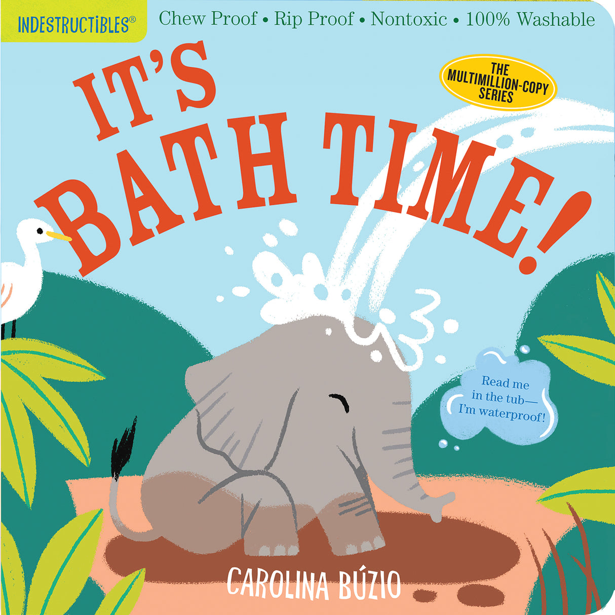 It's Bath Time! Indestructibles Book