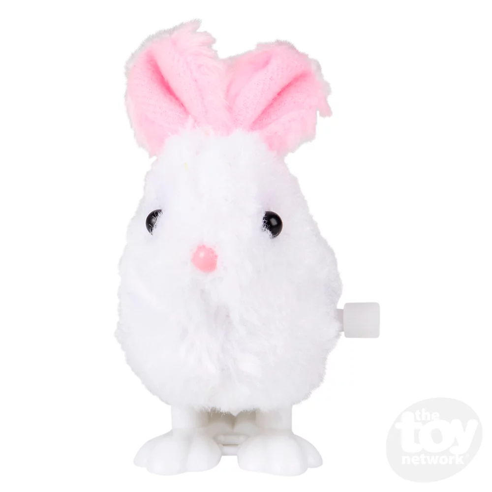 Easter Windups