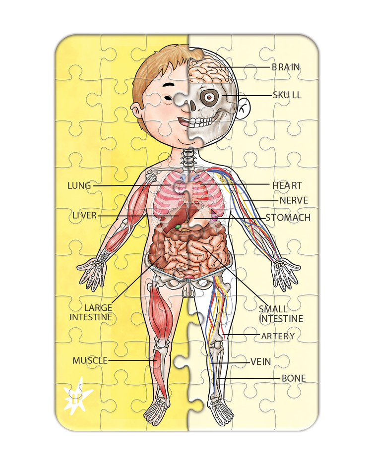 A Piece A Part Anatomy Jigsaw Puzzle