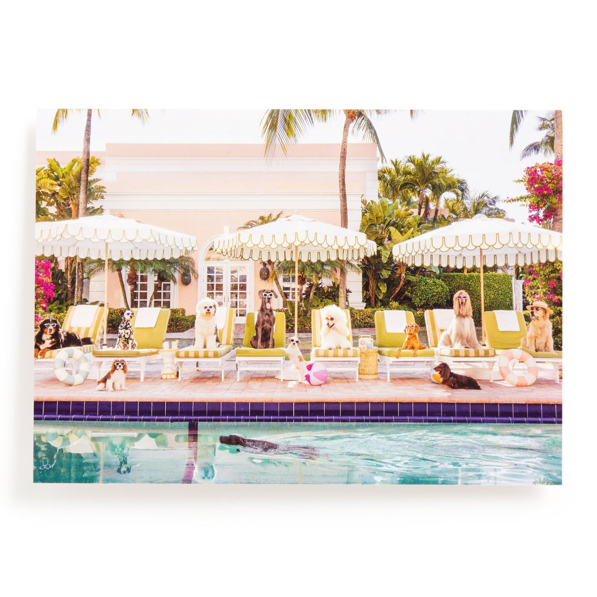 Gray Malin Pool Day Palm Beach 1000 Piece Book Box Puzzle