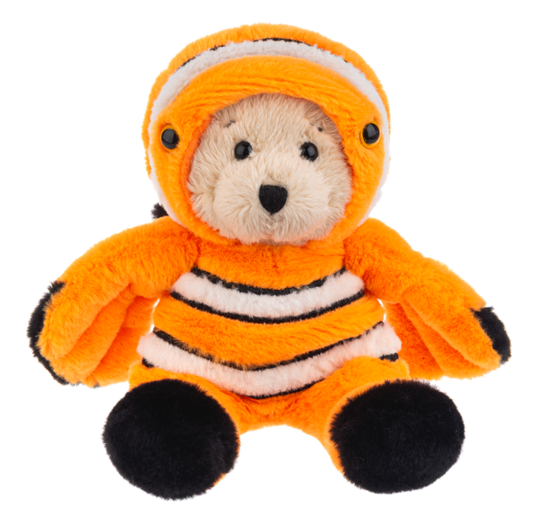 Wee Bear Clown Fish
