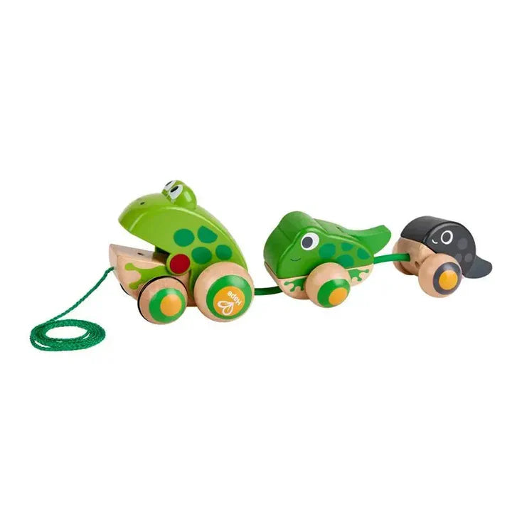 Hape E0365 Pull-Along Frog Family