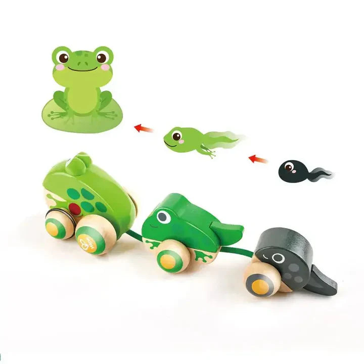 Hape E0365 Pull-Along Frog Family