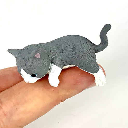 BC Mini Playful House Cats Blind Box