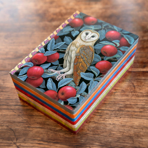 Barn Owl Journal