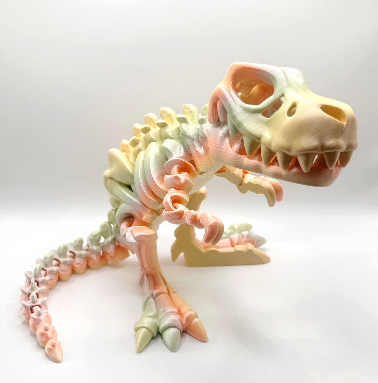PYE Games 3D T Rex Skeleton Large