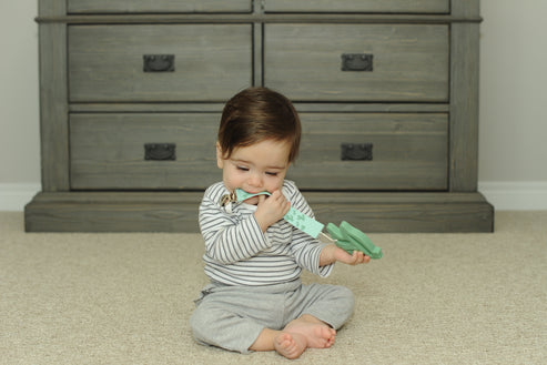 Teether Tether + Teether Cactus Llama