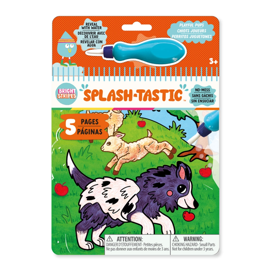 Splash-Tastic Water Reveal Pad Playful Pups