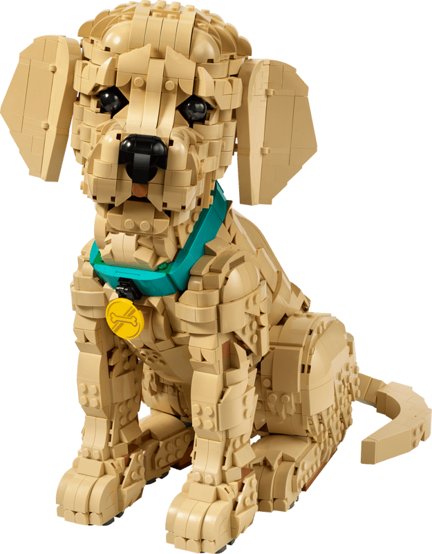 LEGO Icons 11384 Golden Retriever Puppy
