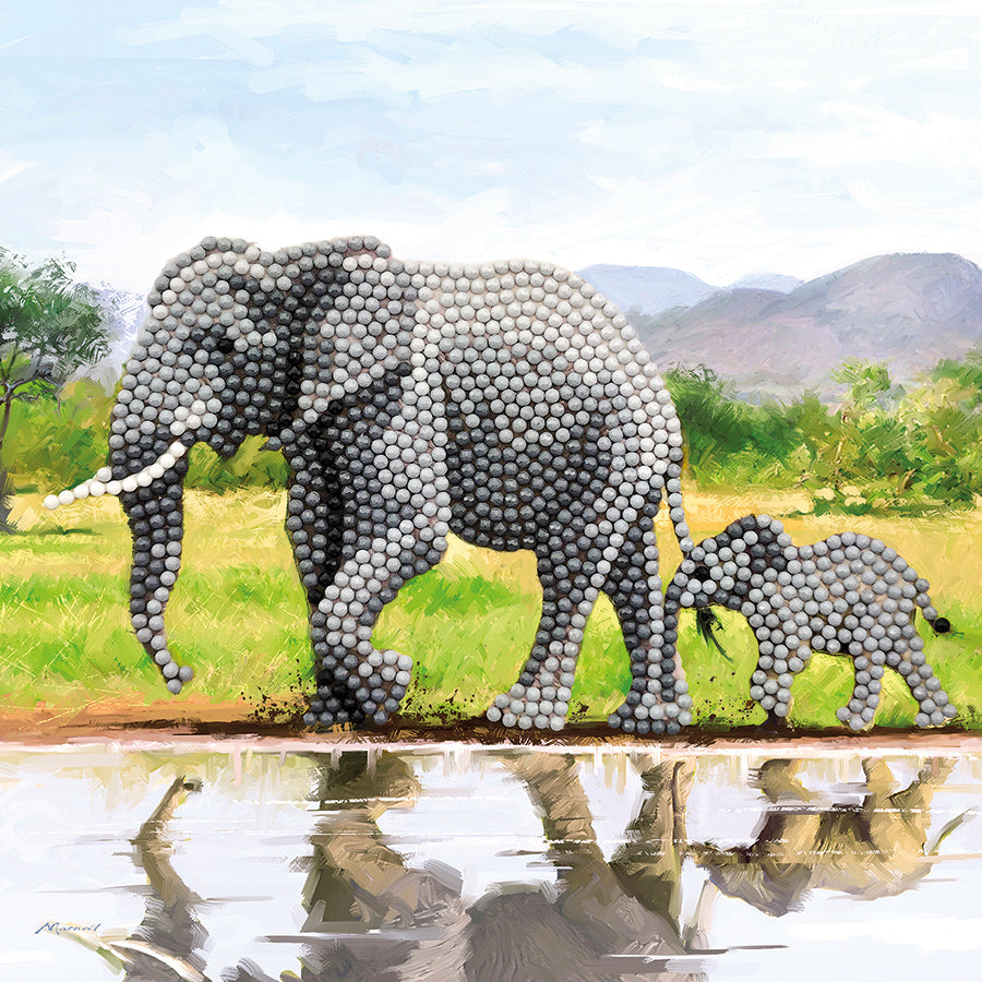 CA Card Kit: Elephant