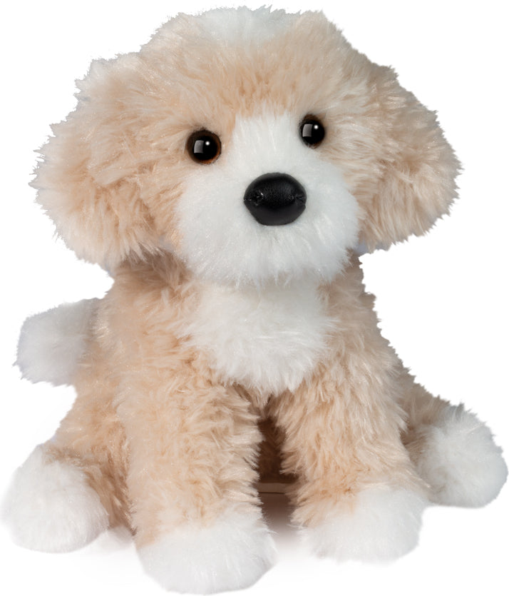 Darcy Goldendoodle