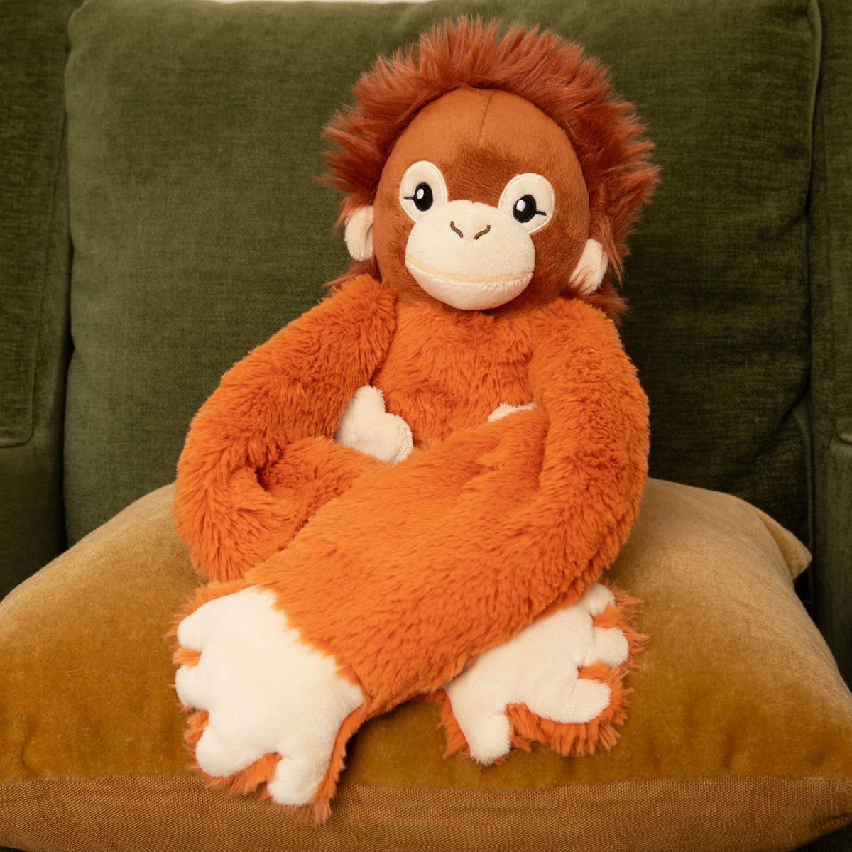 Ollie the Orangutan