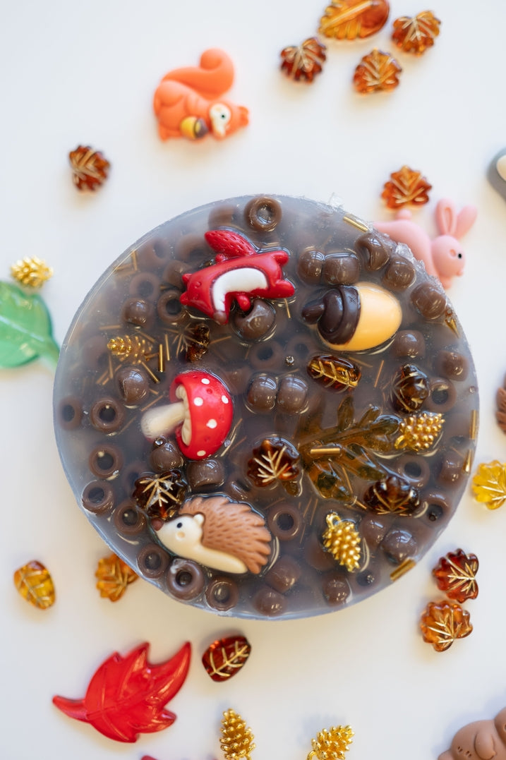 Woodland Theme Picking Pad Fidget Toy