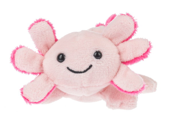 Lil Axton Axolotl