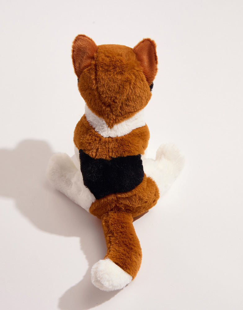 Patches Calico Cat
