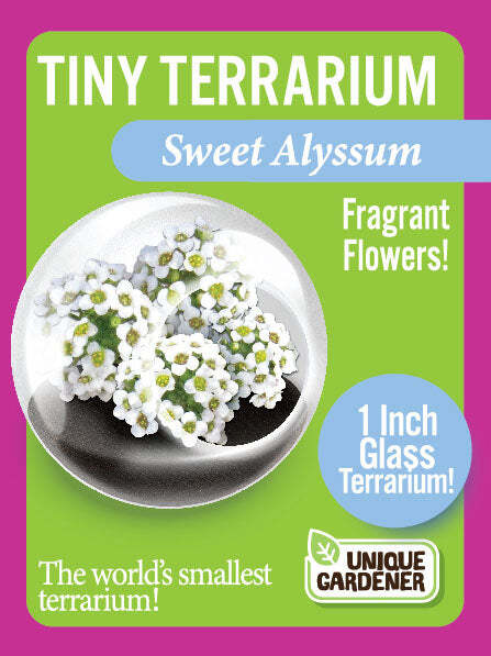 Tiny Terrarium Flowers