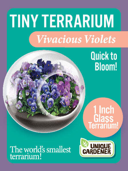 Tiny Terrarium Flowers