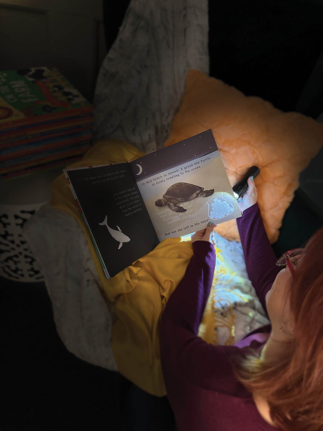 Animal Journeys A Shine-A-Light Book