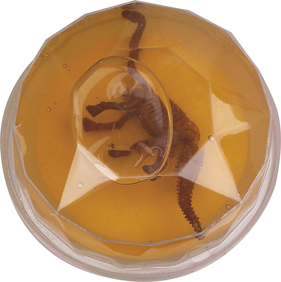 Dinosaur Fossil Putty (Assorted)