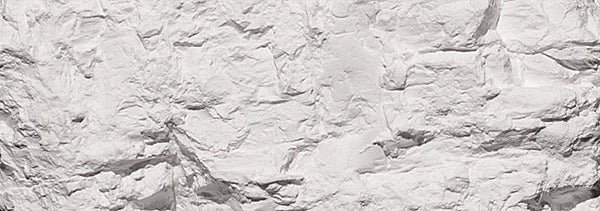 Earth Colors Liquid Pigment(tm) 4oz 118ml Bottle -- White