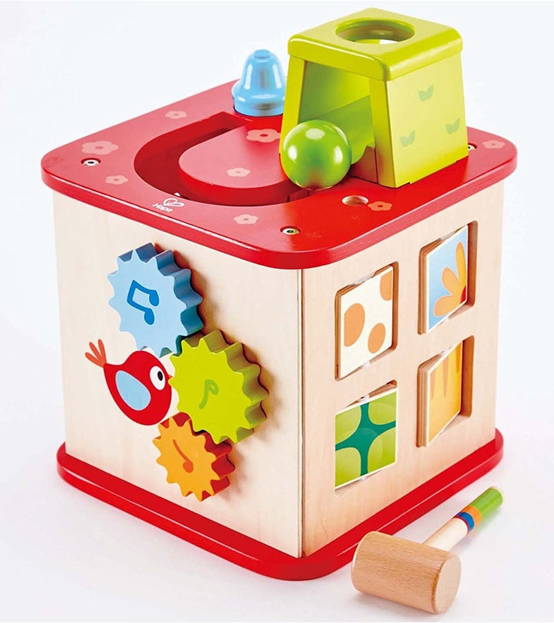 Hape E1812 Friendship Activity Cube