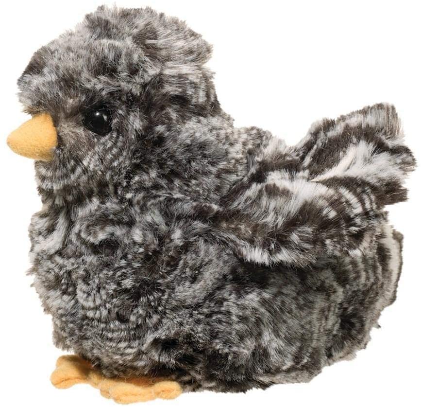 Black Chick