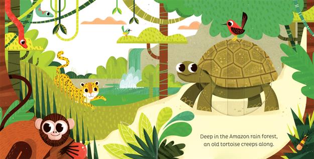 Animal Magic: In the Jungle