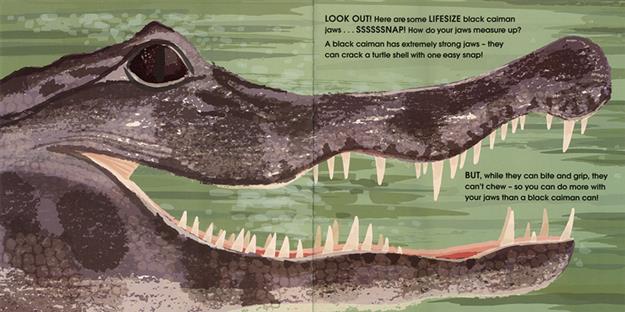 Lifesize Deadly Animals