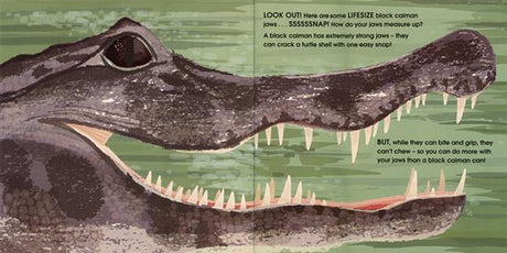Lifesize Deadly Animals