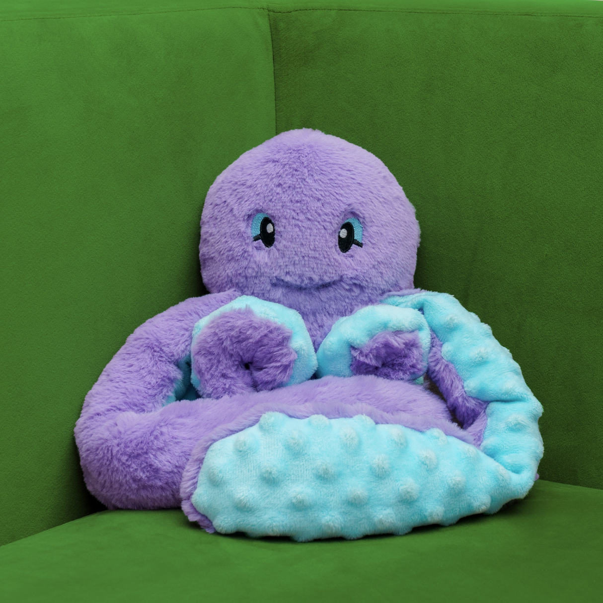 Indigo the Octopus