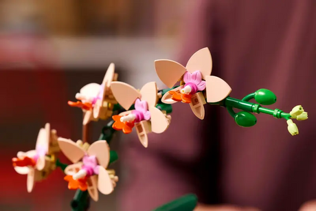 LEGO Icons 10343 Mini Orchid